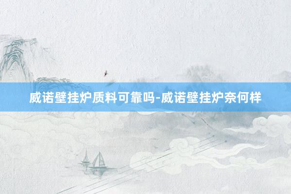 威诺壁挂炉质料可靠吗-威诺壁挂炉奈何样